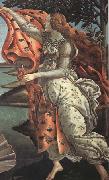 The Birth of Venus Sandro Botticelli